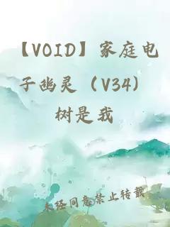 【VOID】家庭电子幽灵（V34）